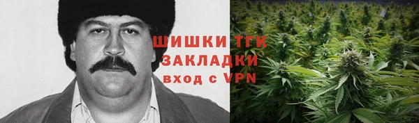 тгк Арсеньев