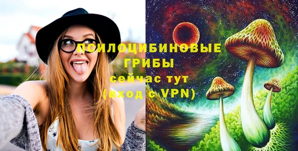 тгк Арсеньев